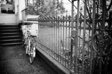 DSC01063s.jpg