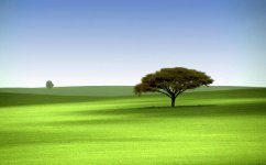 green_idea.jpg