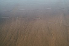beach_foot_steps.jpg