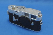 DSC_1536.jpg
