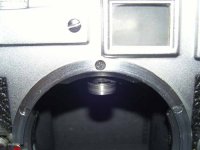 leica A Lseal 2.jpg
