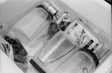 F5 Tri-x 320 Microdol 78 1.jpg