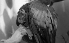 img034-2.jpg