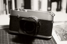 _0014934.jpg