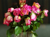 Dead Roses Print-2 small.jpg