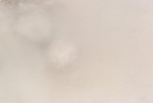 white-8.jpg