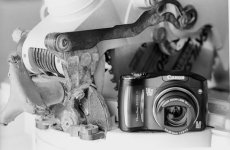 F5 Tri-x 320 Microdol 78 4.jpg