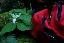 Fuji Bracket Provia.jpg