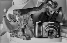 F5 Tri-x 320 Microdol 78 4.jpg