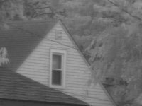 neighbor.jpg