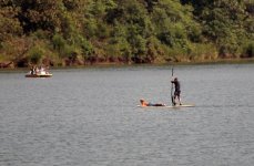 300mm_board0931.jpg
