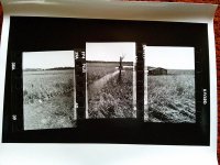 triptych1.jpg