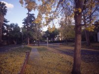cit fall colors 2.jpg