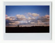 rutter_instax006.jpg