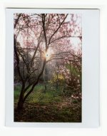rutter_instax014.jpg