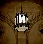 NDlight copy.jpg