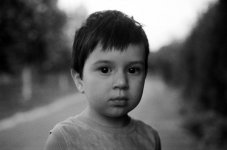 46740011.jpg