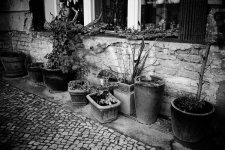 DSC01077s.jpg