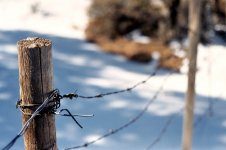 A NM Fence Post.jpg