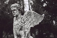 Rollei 35 #1 017 (Medium).jpg