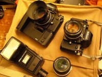 2 F3's (Medium).jpg