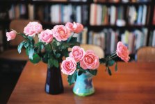 roses.jpeg