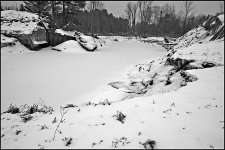 1021323-Large.jpg