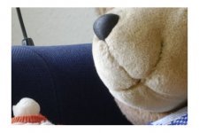 zoom24-5,6 center.jpg