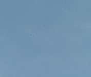untitled-082-43.jpg