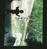 zoo may 2006 - crop 1.jpg
