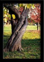 hex90park.jpg