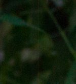 Screen Shot 2013-09-23 at 9.00.02 PM.jpg