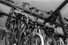 Bicycles.jpg