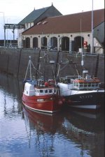 Anstruther harbour (Medium).jpg