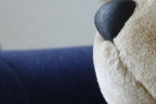 zoom50-5,6 center.jpg