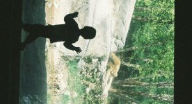 zoo may 2006 - crop 2.jpg