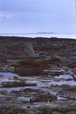 Bass rock (Medium).jpg