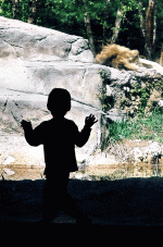 zoo-may-2006---crop-2-w.gif
