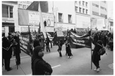 looking a6t me copy.jpg