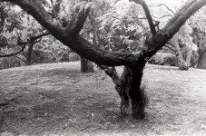img109.jpg