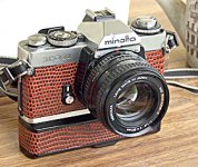 P3257753 a e e RFF.jpg