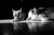 L1020395 (2).JPG