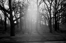 Scan-110509-00011.jpg