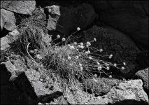 060725-06big.jpg