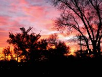 sunrise at work sm.jpg