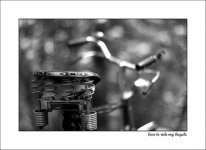 love-to-ride-my-bicycle.jpg