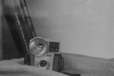 NikonRFMONTHM8.jpg