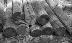 Nicca 3F Kentmere 100 HC110 B logs.jpg