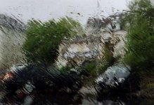 fzf.00371.jpg