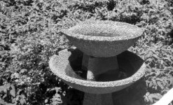 Nicca 3F Kentmere 100 HC110 B bird feeder.jpg